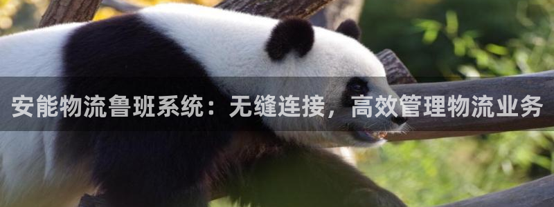 28圈加拿大怎么玩