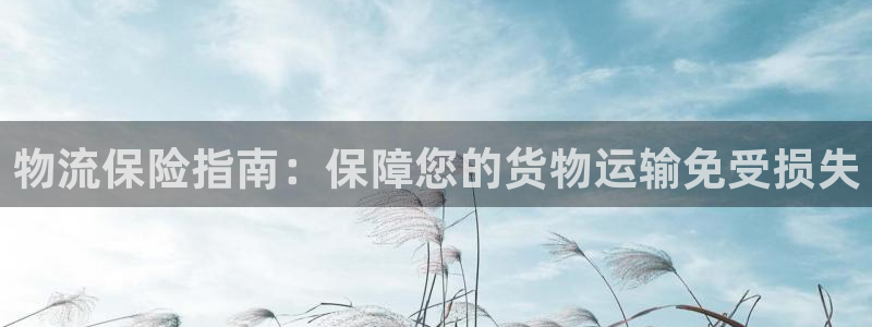 28圈充值不到账怎么回事