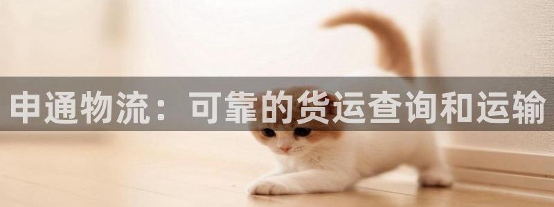 28圈怎么注册账号和密码：申通物流：