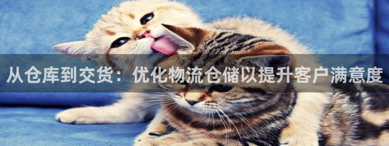 28圈.ccm正版