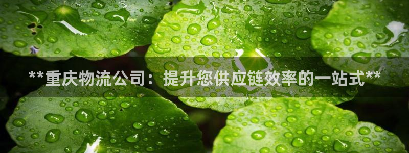 28圈麻将