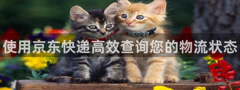 28圈违法吗：使用京东快递高效查询您