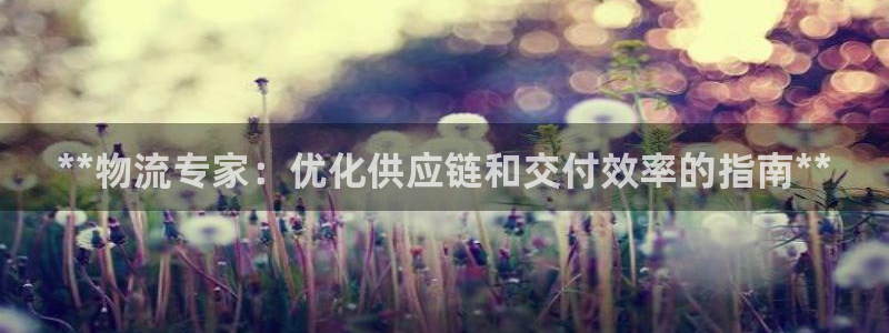 28圈链接