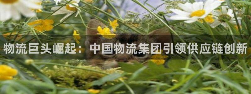 28圈人头费