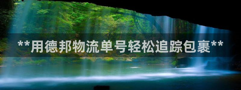 28圈在线预测