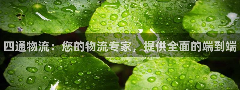 28圈.ccmpc正版