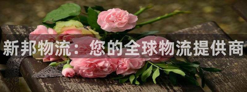 28圈pg麻将胡了