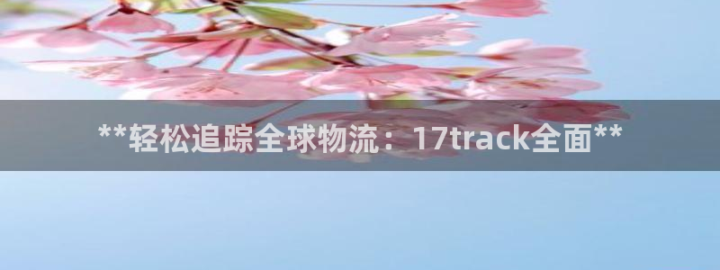 28圈注册号:**轻松追踪全球物流: