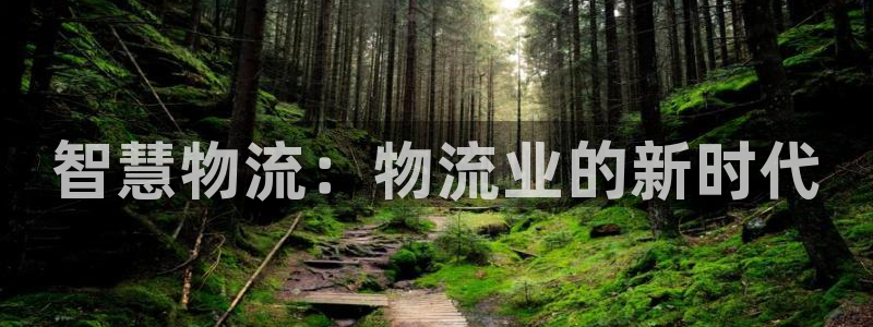 28圈加拿大模拟器