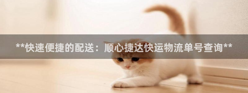 28圈如何看计划