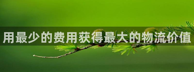 28圈连输10天:用最少的费用获得最