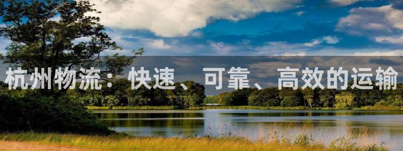 28圈ccm游戏:杭州物流:快速、可