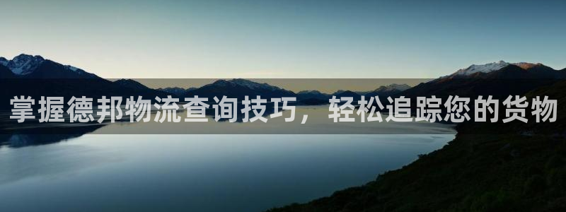 28圈注册教程：掌握德邦物流查询技巧