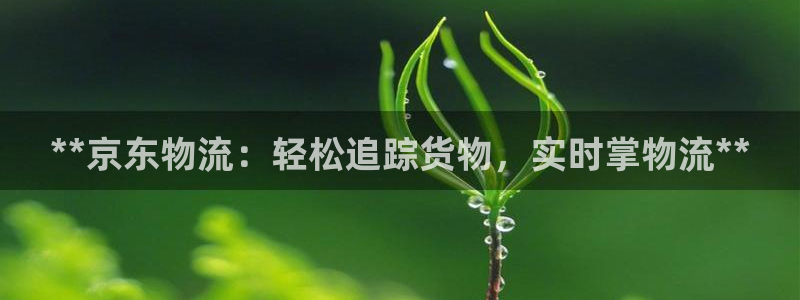 28圈相信品牌的力量