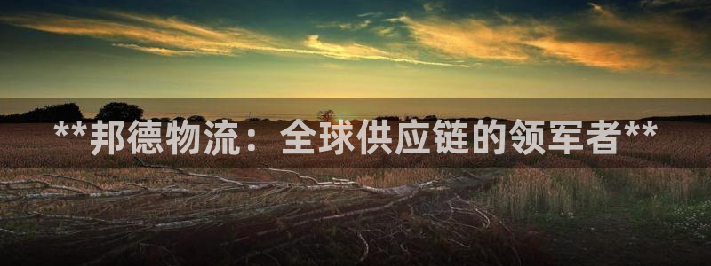 28圈官网预测
