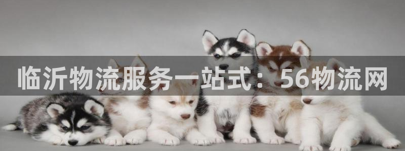 28圈口