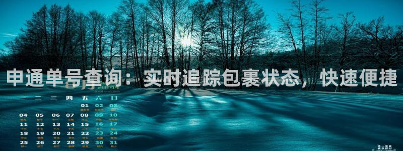 28圈登录不上咋回事：申通单号查询：