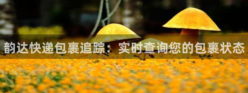 28圈h5链接