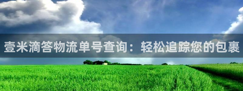 28圈连输10天