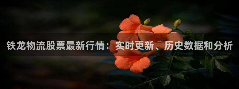 28圈能赢钱吗
