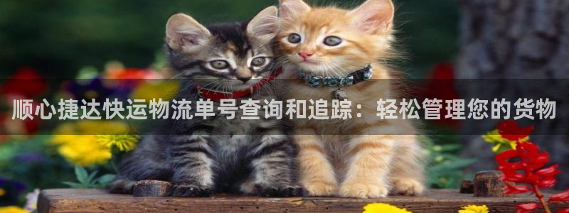 28圈模拟器