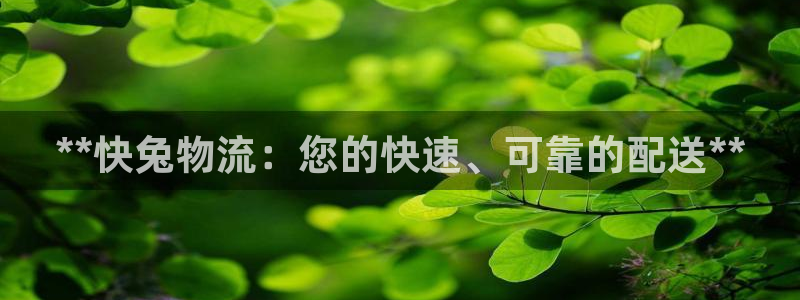 28圈在线预测