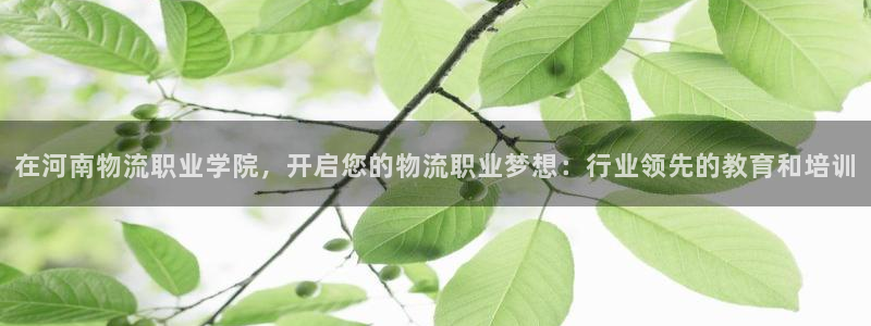 加拿大28圈数字规则