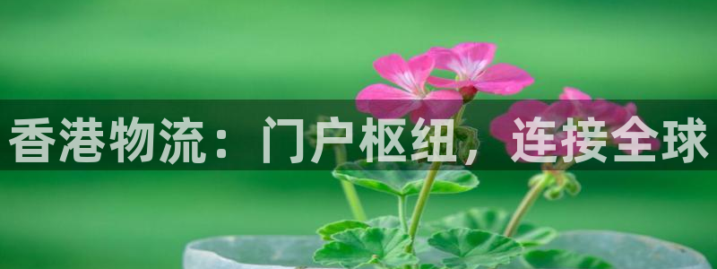 28圈起来的符号