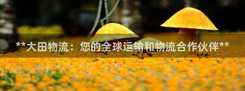 28圈加拿大最新版