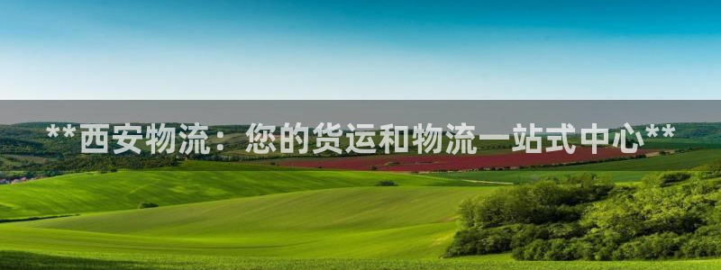 28圈官网多少