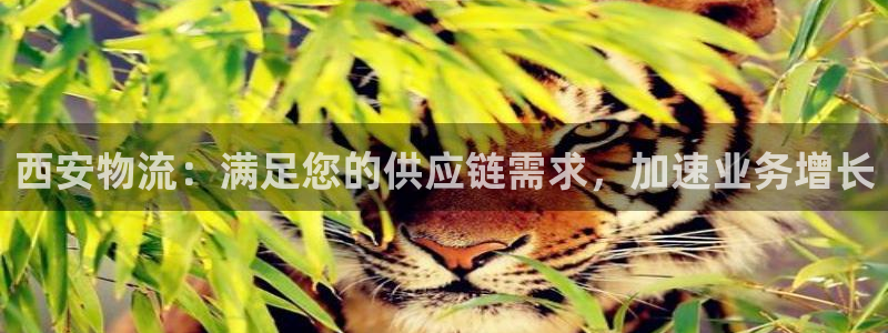28圈推广链接是多少个