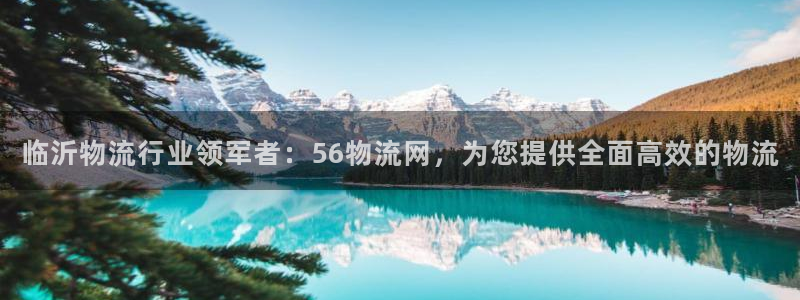 28圈充值不处理怎么办