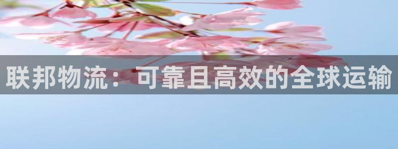 28圈注册二维码：联邦物流：可靠且高