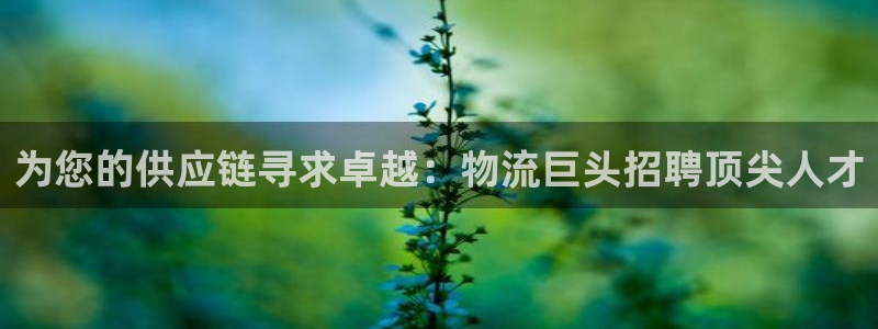 28圈在线预测