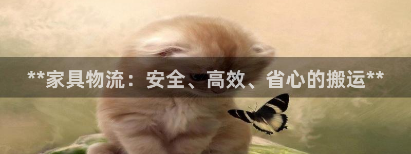 28圈充值金额随便