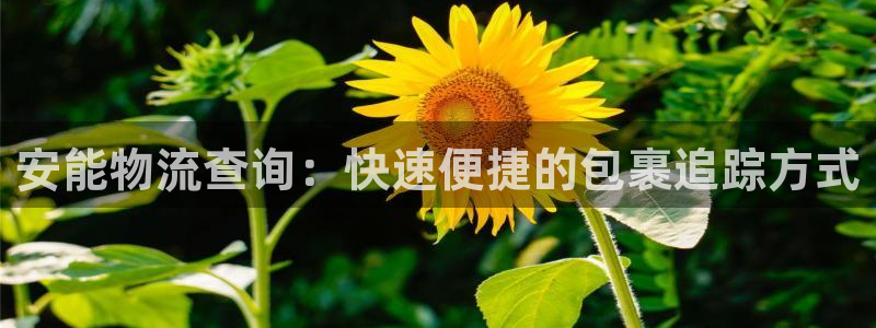28圈推广链接是多少个