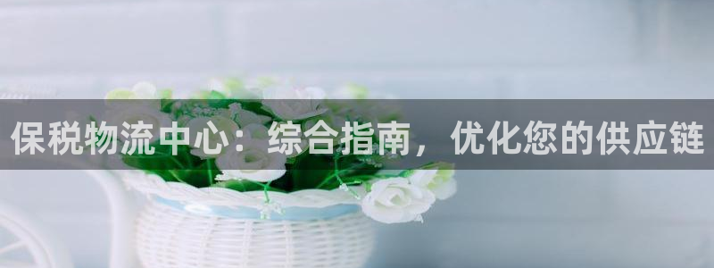 28圈模拟器在线玩