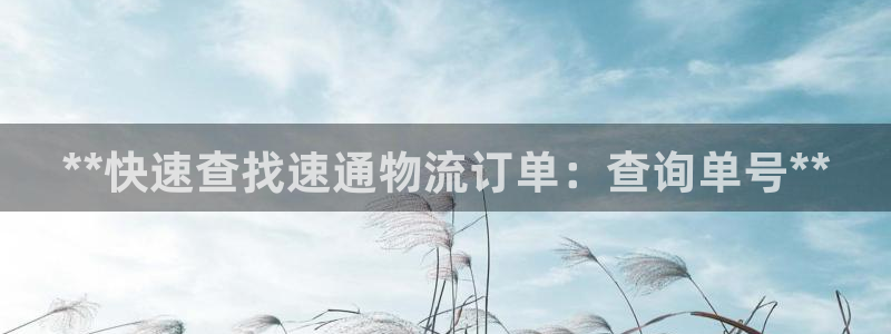 28圈大舞台