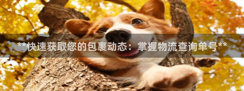 28圈游戏链接