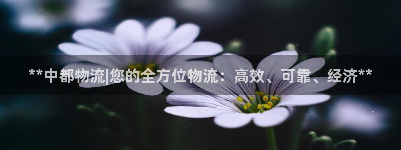 28圈官网下载链接是什么