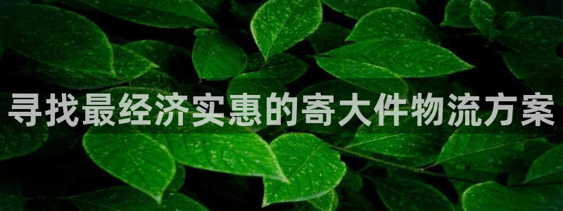 28圈客服一直不回消息怎么办