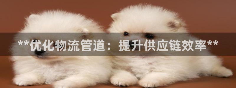 28圈注册号：**优化物流管道：提升