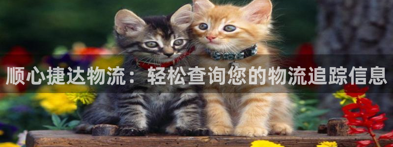 28圈加拿大6.0