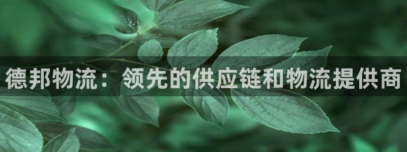 28圈在线预测