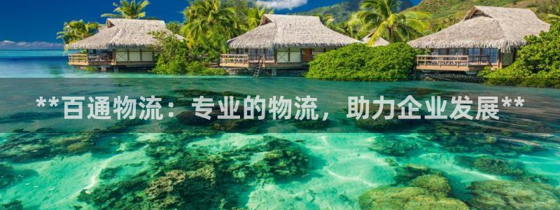 28圈app赢了500万