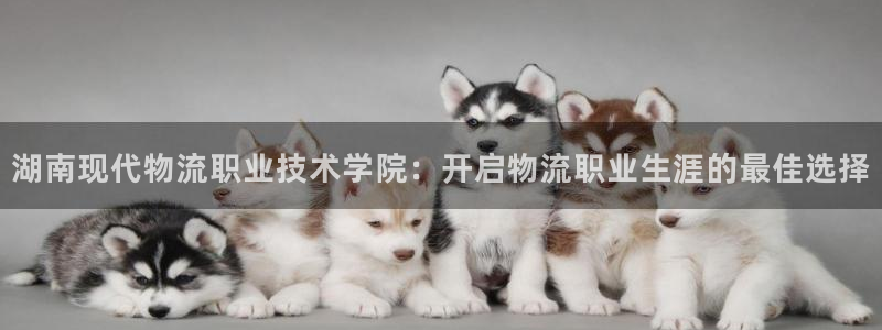 28圈比特28预测在线预测