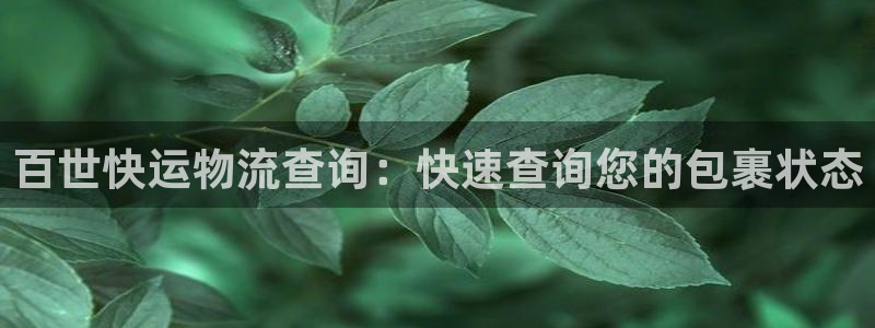 28圈绿骨头