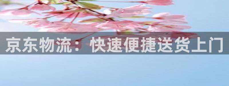 南宫28圈怎么注册：京东物流：快速便