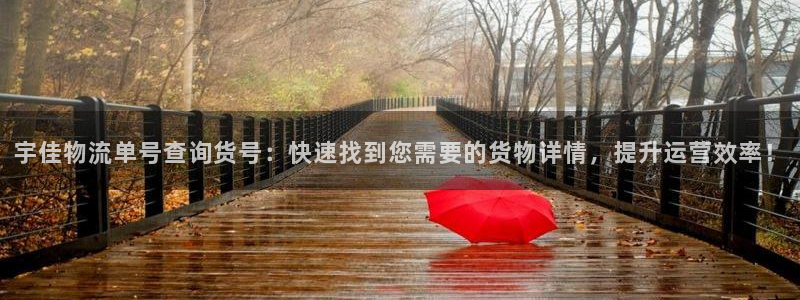 28圈网站平台：宇佳物流单号查询货号