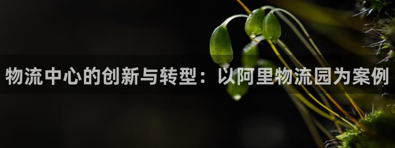 28圈模拟器在线玩